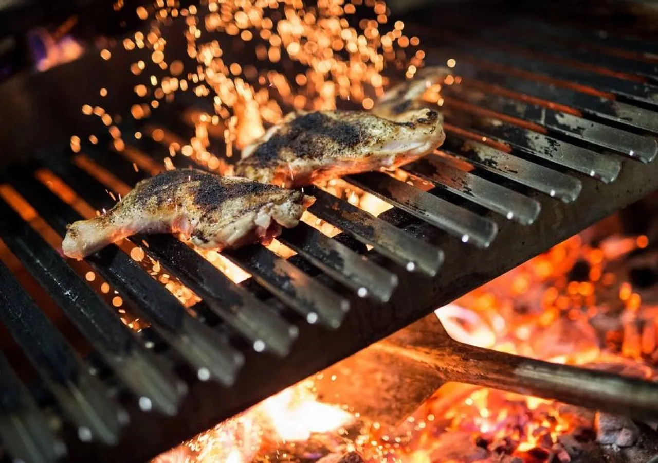 Carbón vegetal para tu negocio.TodoBrasa