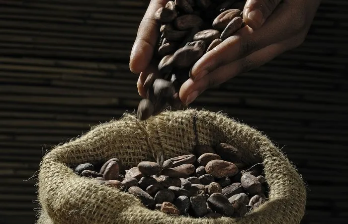 Chocolate Valrhona